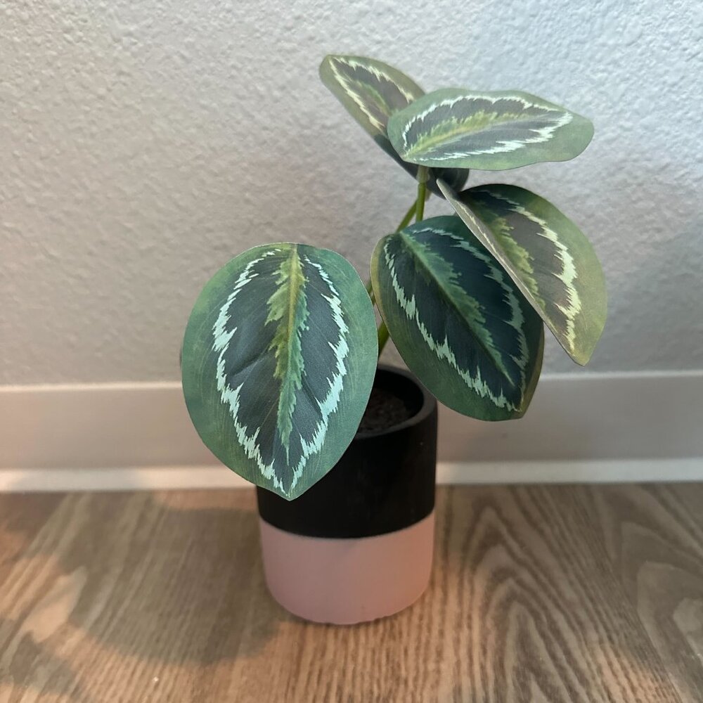 Fake Desk Plant